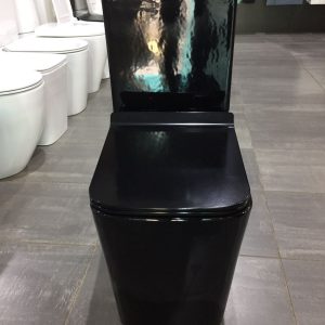 ROFEN WC (GLOSS BLACK)