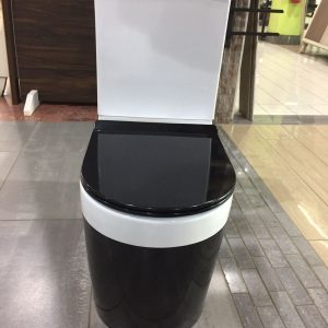 ROFEN WC (BLACK & WHITE)